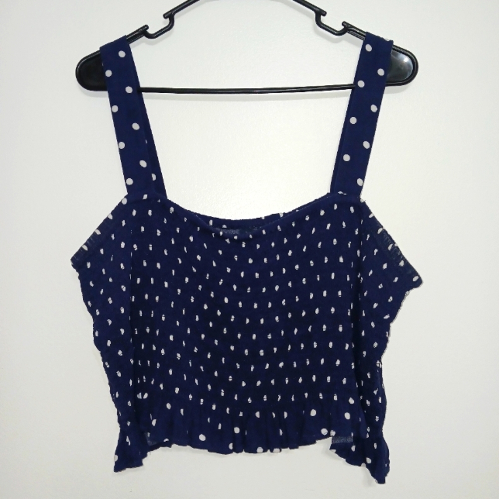 American Eagle Outfitters Blue and White Pleated Crop Tank Top